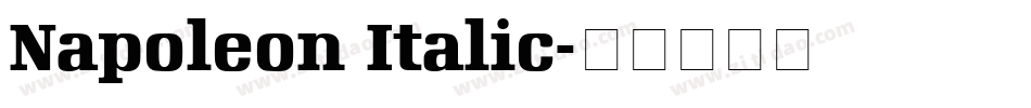 Napoleon Italic字体转换
